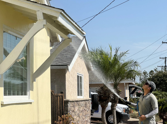 Roof, gutter and solar panel cleaning