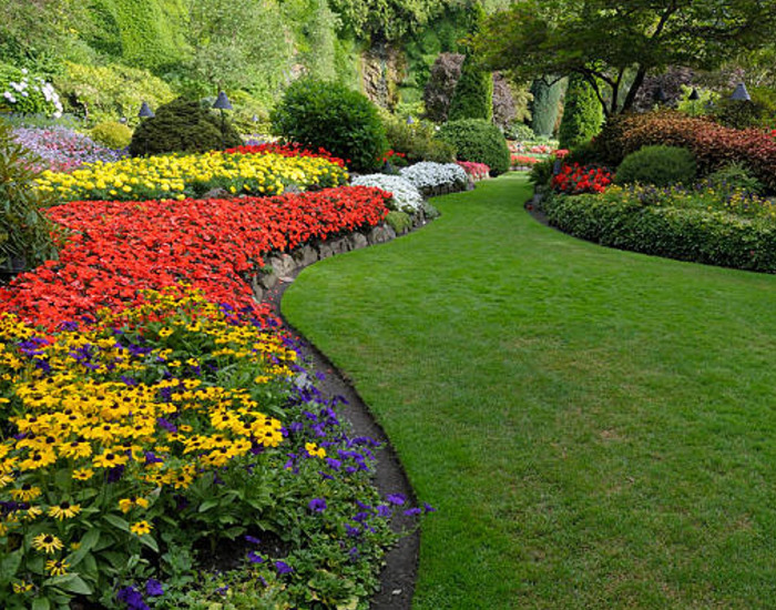 Too Easy Mate lawn care β a freshly mown, healthy green lawn